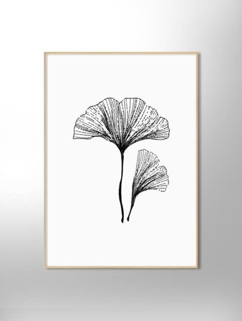 Poster Ginkgo...